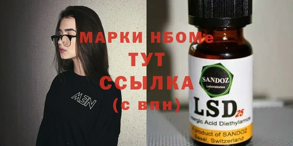молекула духа Лабытнанги