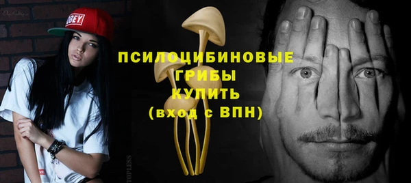 молекула духа Лабытнанги
