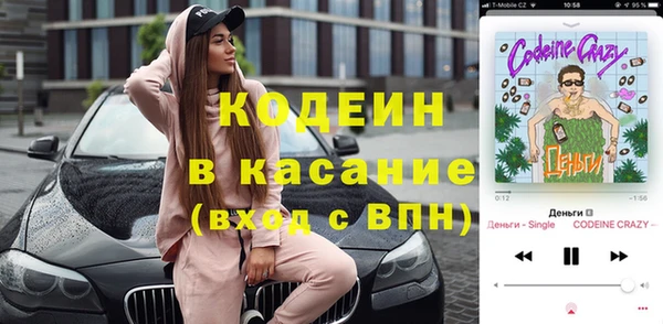 шишки Лагань