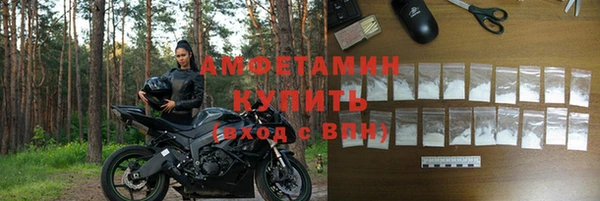 шишки Лагань