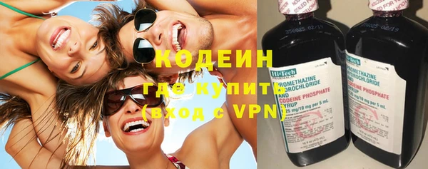 молекула духа Лабытнанги