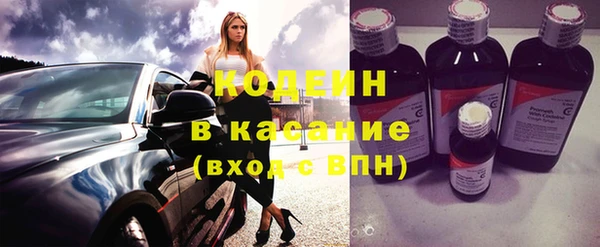 шишки Лагань